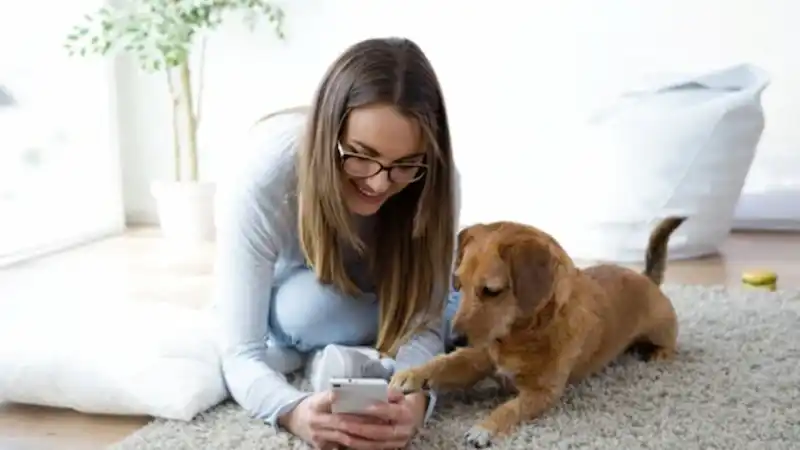 5 Reasons All Pet Parents Should Start Using AI