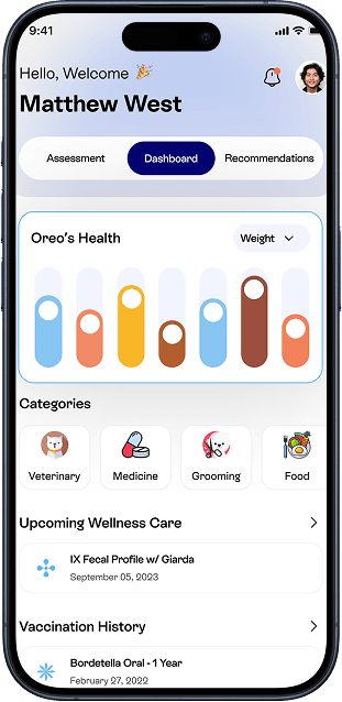 Phone mockup