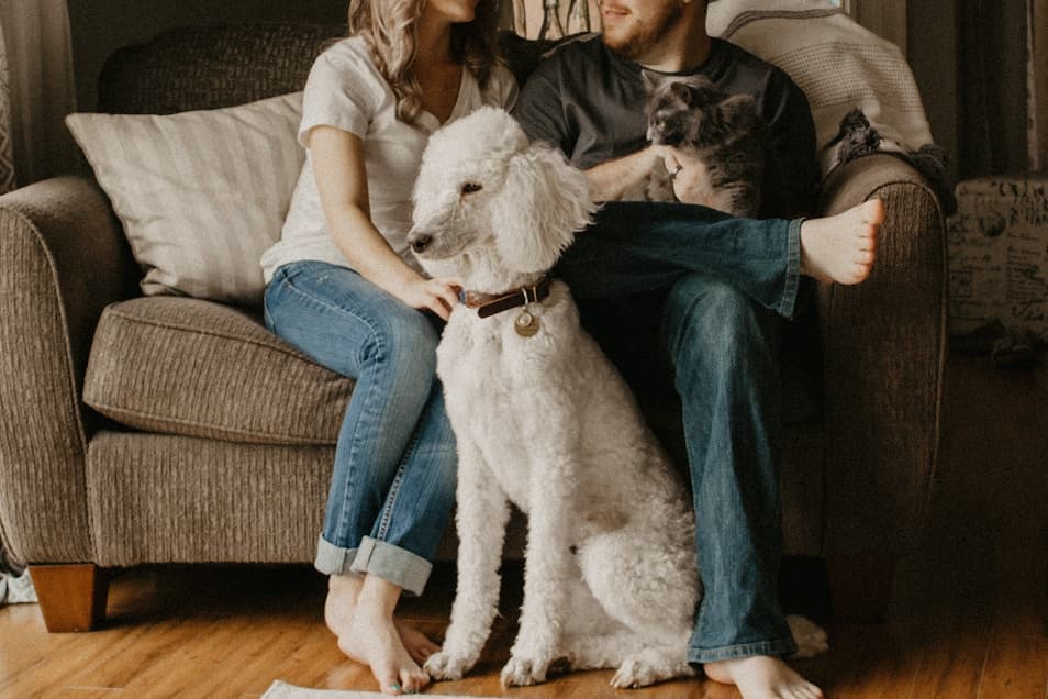 People with dog on couch