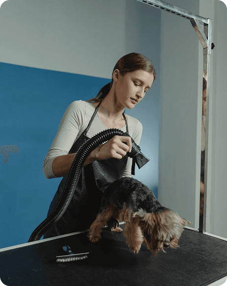 Pet services