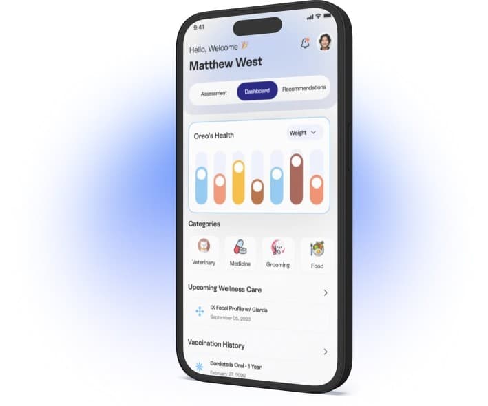 Pet App Interface